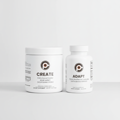 THE RESILIENCE STACK — CREATE + ADAPT